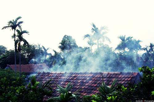 Ảnh: Sưu tầm
