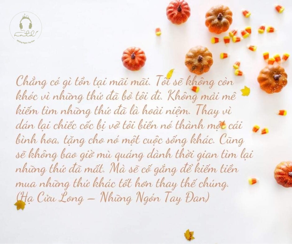 Thiết kế: Hạ Cửu Long