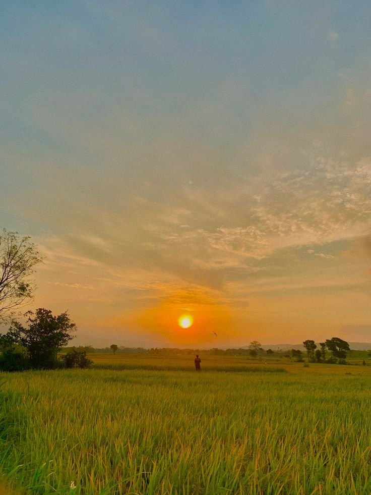 📷: Sưu tầm