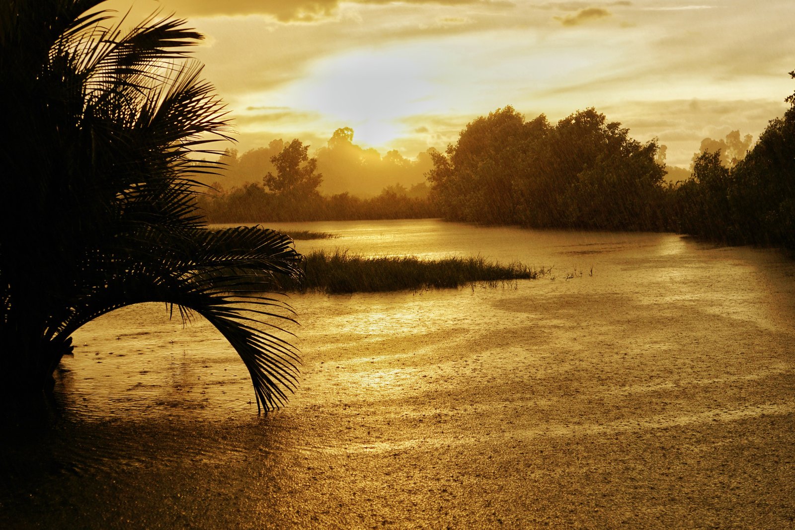 📸: Dương Hòa Nhu