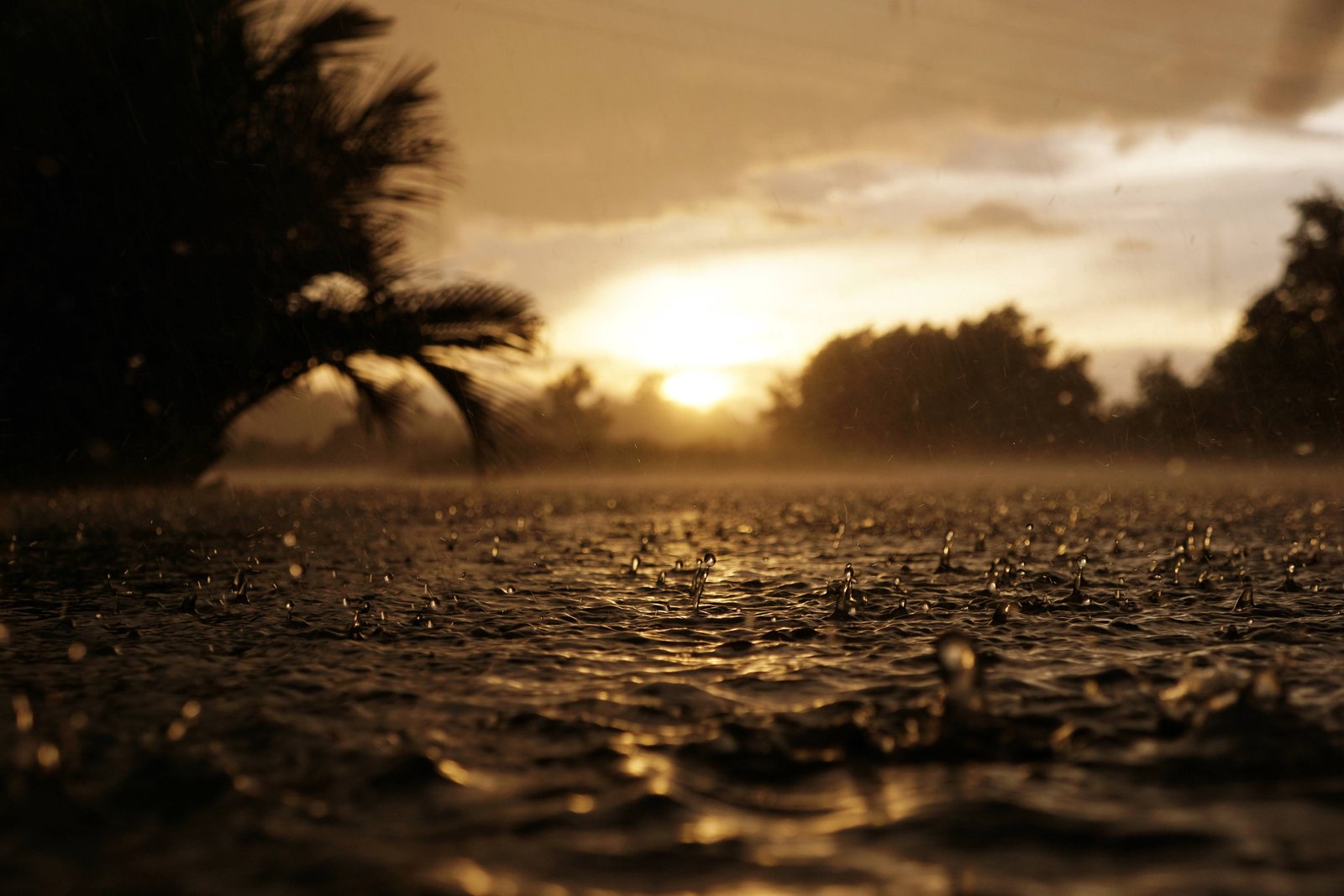 📸: Dương Hòa Nhu