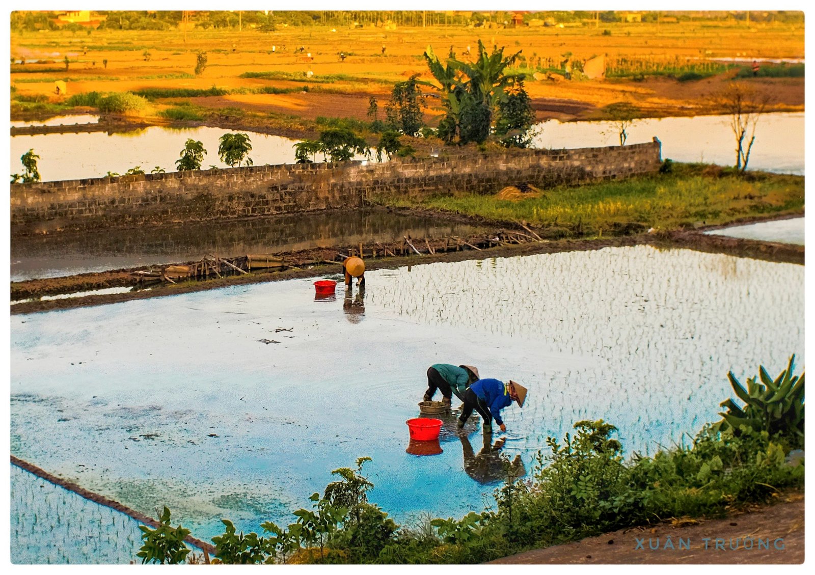 📸: Xuân Trường