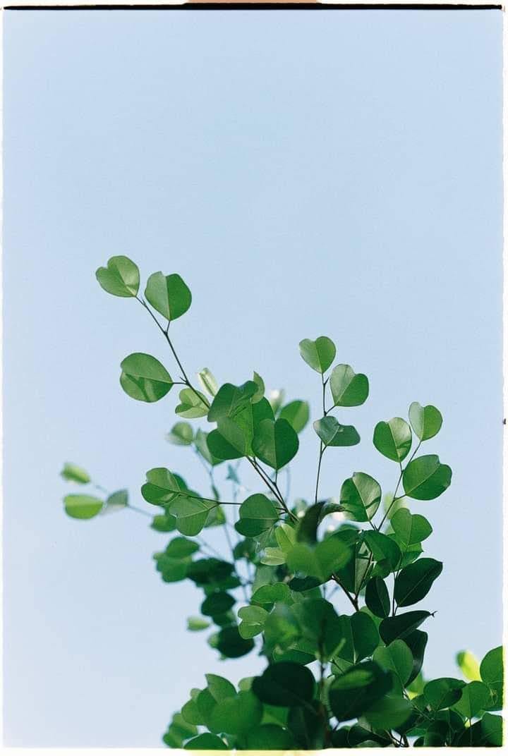 📸: Hồ Duy Đăng