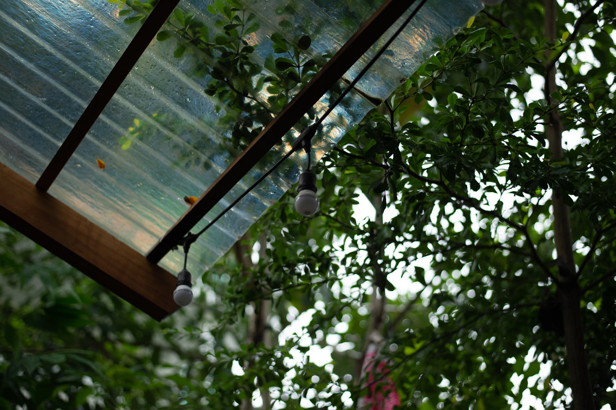 📸: Hồ Duy Đăng