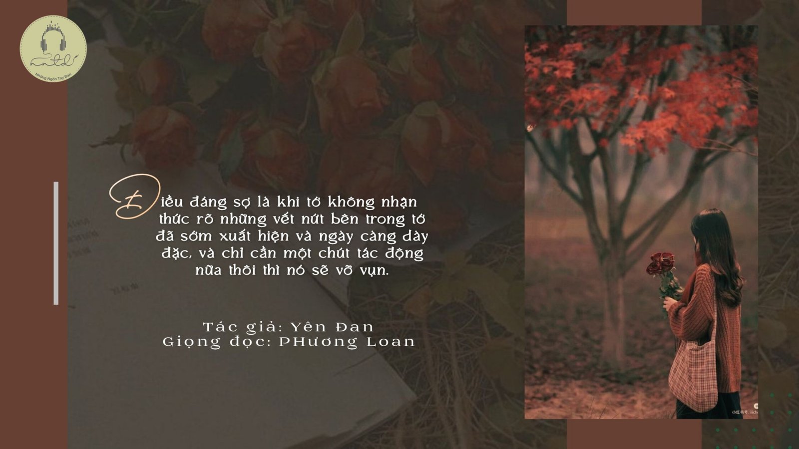 Thiết kế: AT_HN - Ảnh: Sưu tầm