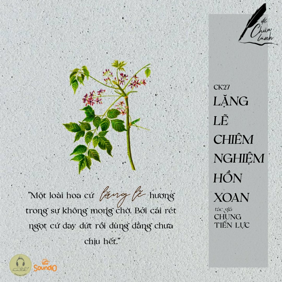 Thiết kế: Anh Thư_Hồng Nhật - Ảnh: Sưu tầm