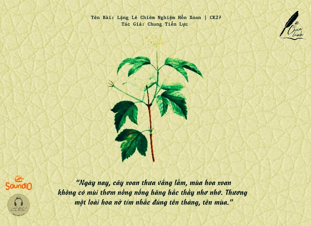 Thiết kế: Anh Thư - Ảnh: Sưu tầm