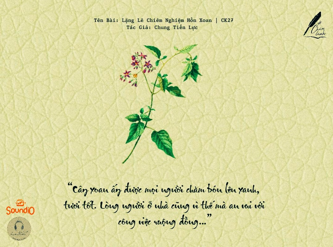 Thiết kế: Anh Thư - Ảnh: Sưu tầm