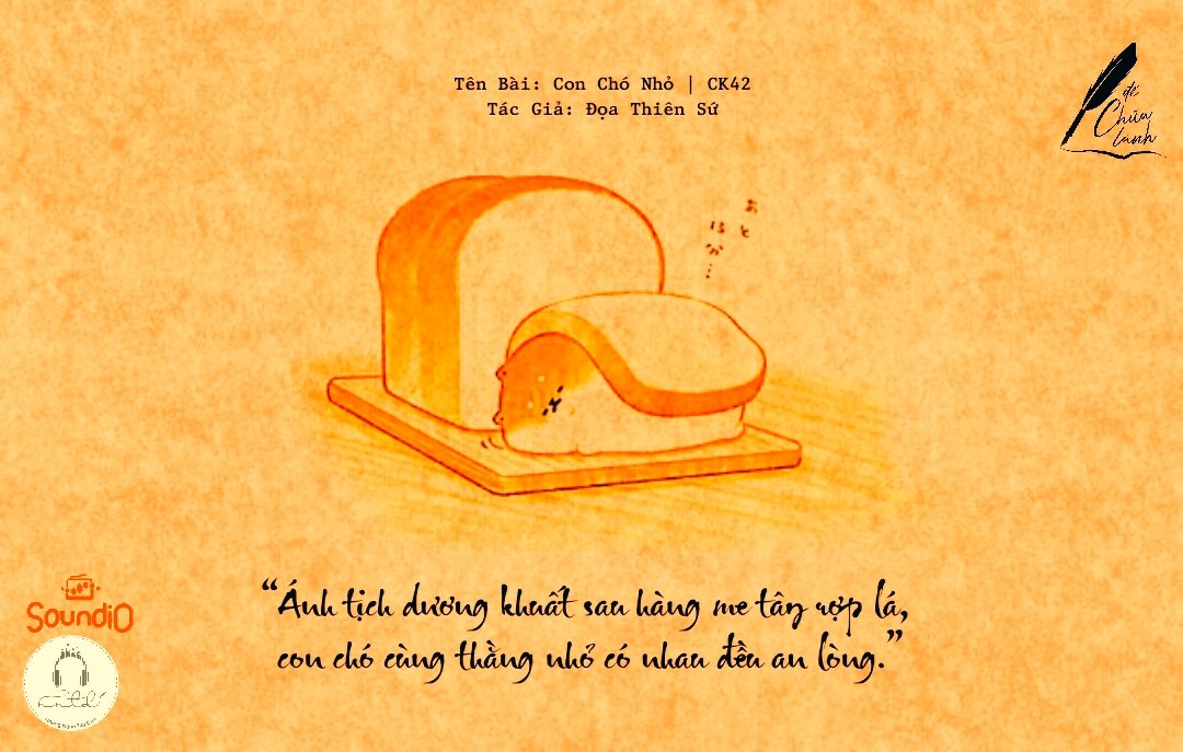 Thiết kế: Anh Thư - Ảnh: Sưu tầm