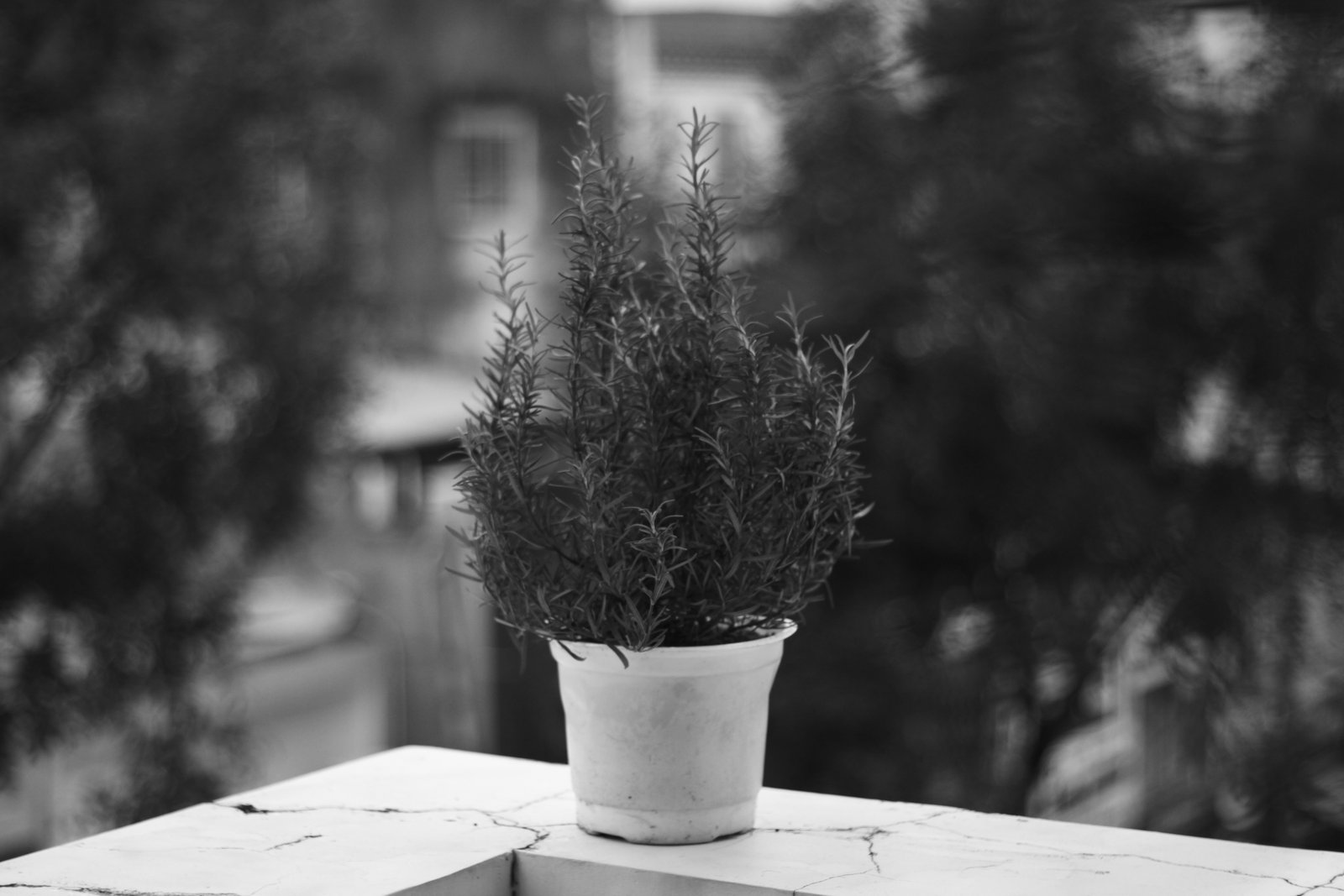 📸: Hồ Duy Đăng