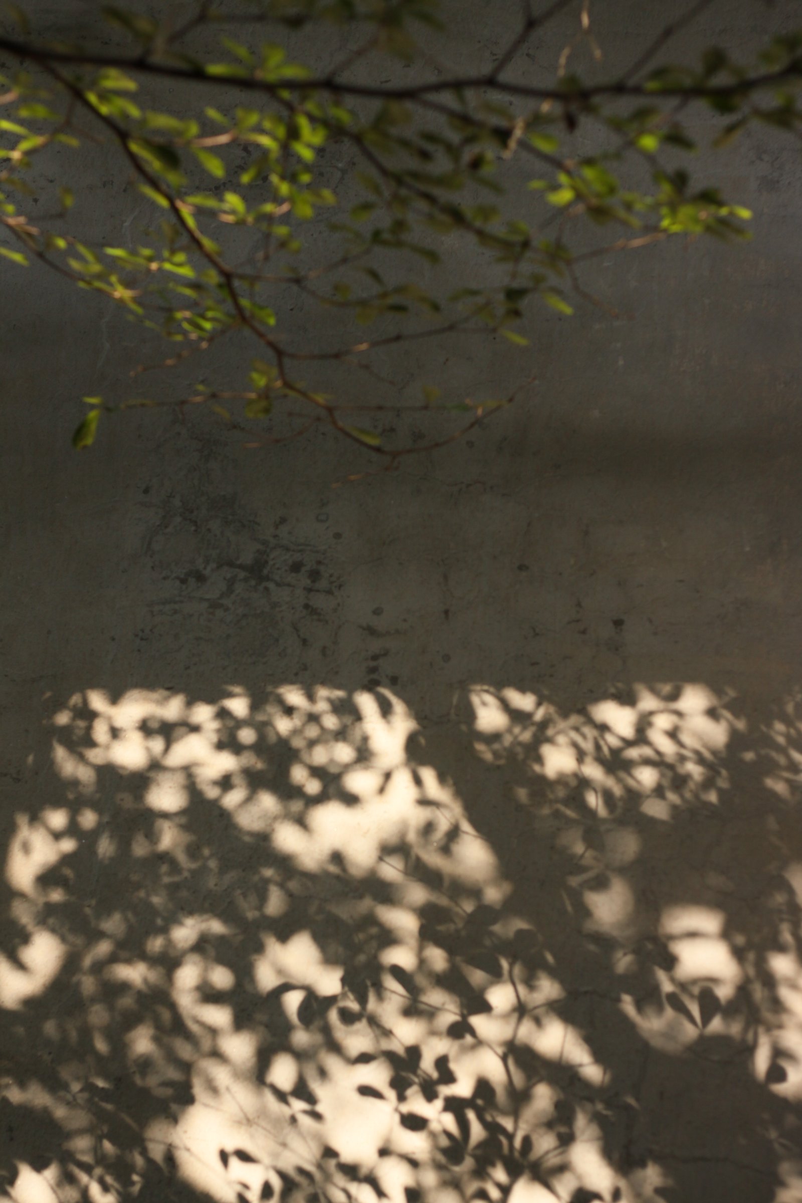 📸: Hồ Duy Đăng