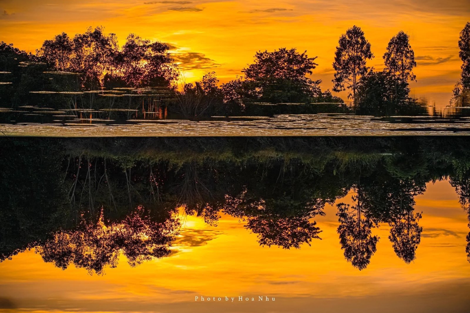 📸: Dương Hòa Nhu
