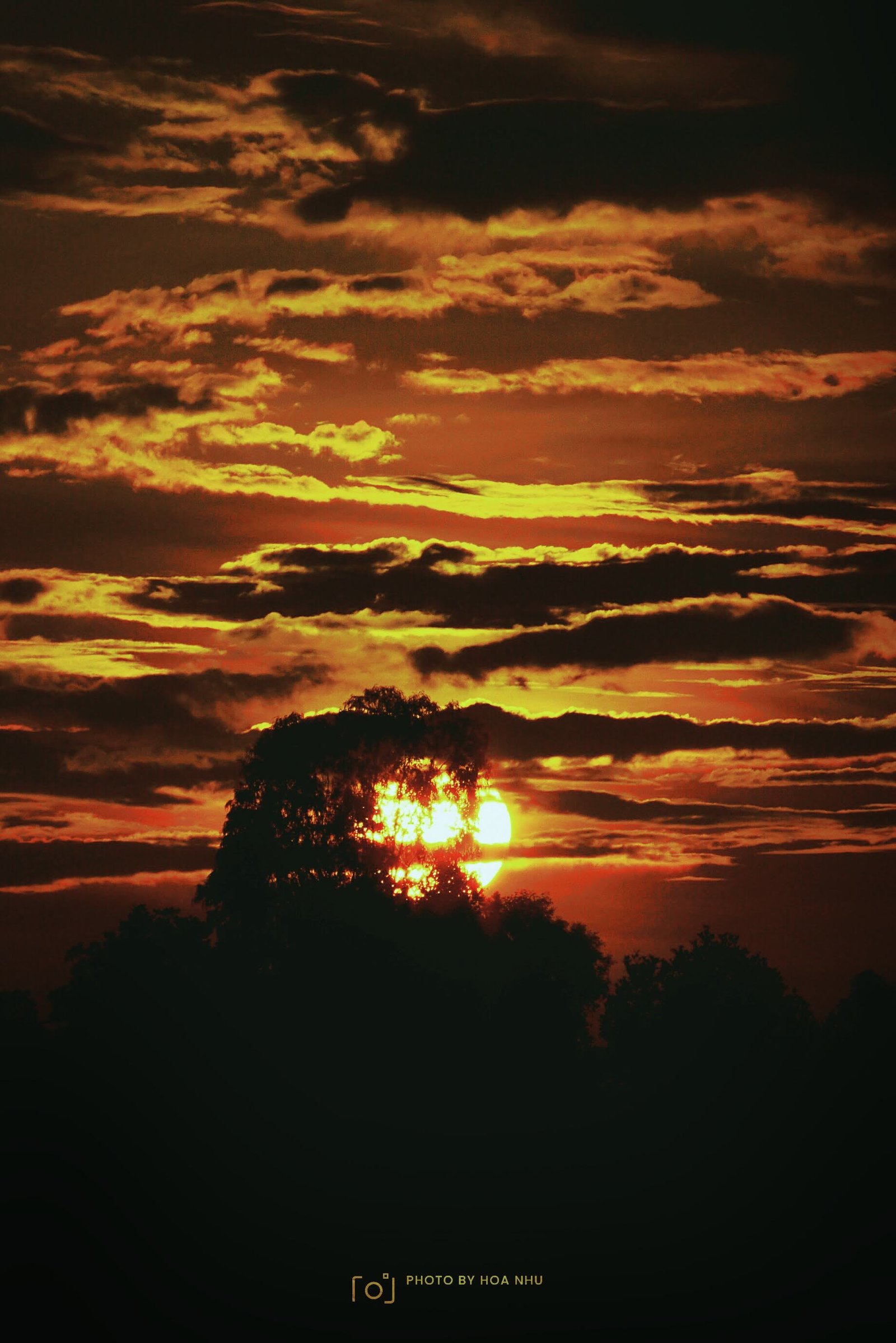 📸: Dương Hòa Nhu