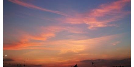 📸: Xuân Trường