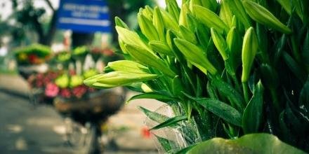 📸: Cao Anh Tuấn