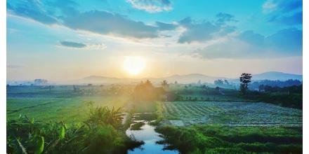 📸: Xuân Trường