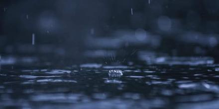 📸: Dương Hòa Nhu