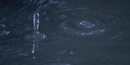 📸: Dương Hòa Nhu