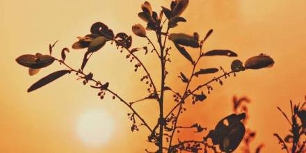 📸: Dương Hòa Nhu