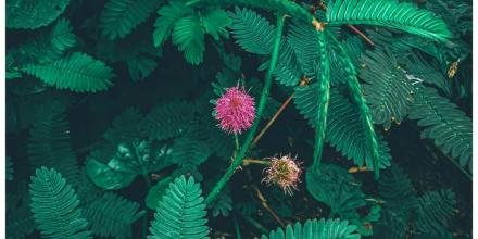 📸: Phương Thúy