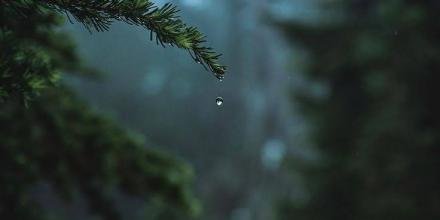 📸: Dương Hòa Nhu