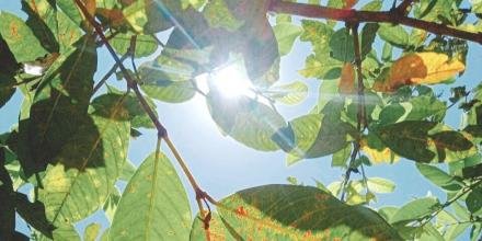 📸: Phương Thúy