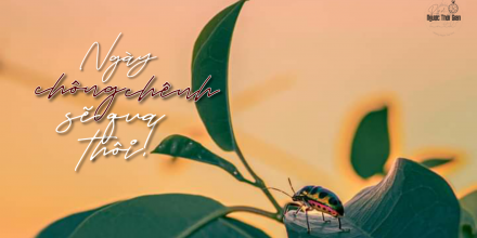 Thiết kế: Hồng Nhật