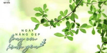 Thiết kế: Hồng Nhật - Anh Thư