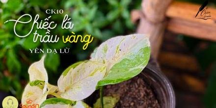 Thiết kế: Hồng Nhật - Ảnh: Sưu tầm