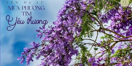 Thiết kế: Hồng Nhật