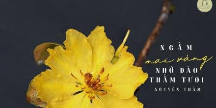 Thiết kế: Hồng Nhật