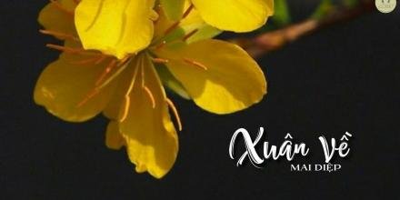 Thiết kế: Hồng Nhật