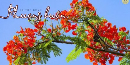 Thiết kế: Hồng Nhật