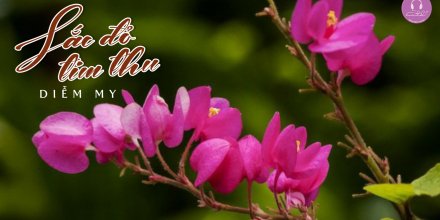 Thiết kế: Hồng Nhật - Ảnh: Sưu tầm