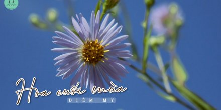 Thiết kế: Hồng Nhật - Ảnh: Sưu tầm