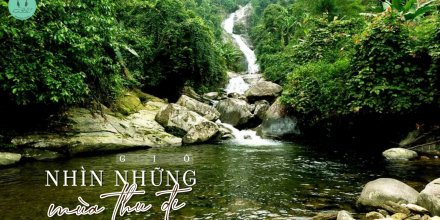 Thiết kế: Hồng Nhật - Ảnh: Sưu tầm