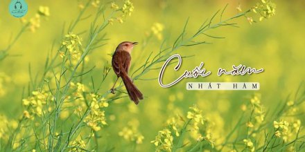 Thiết kế: Hồng Nhật - Ảnh: Sưu tầm