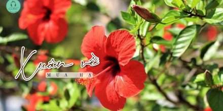 Thiết kế: Hồng Nhật - Ảnh: Sưu tầm