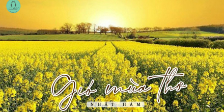 Thiết kế: Hồng Nhật - Ảnh: Sưu tầm