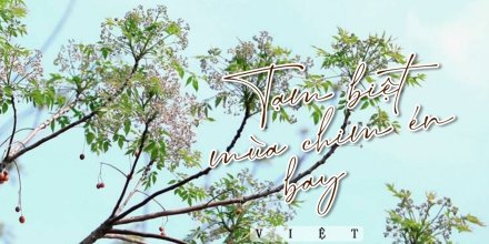 Thiết kế: Hồng Nhật - Ảnh: Sưu tầm