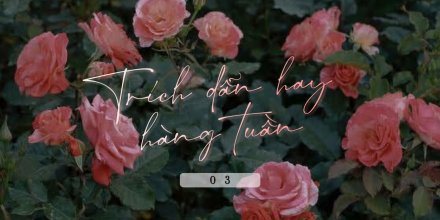 Thiết kế: Hồng Nhật - Ảnh: Sưu tầm