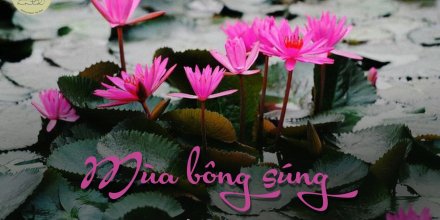 Thiết kế: Hồng Nhật - Ảnh: Sưu tầm