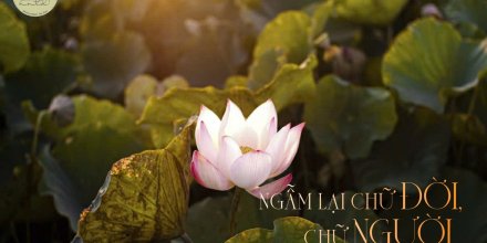 Thiết kế: Hồng Nhật - Ảnh: Xuân Trường