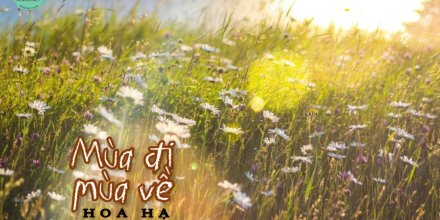 Thiết kế: Hồng Nhật