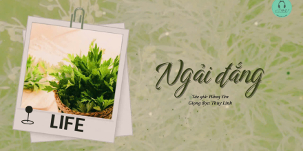 Thiết kế: HỒNG NHẬT - ANH THƯ