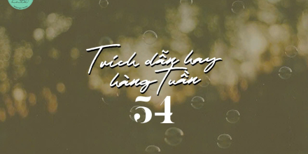 Thiết kế: Hồng Nhật