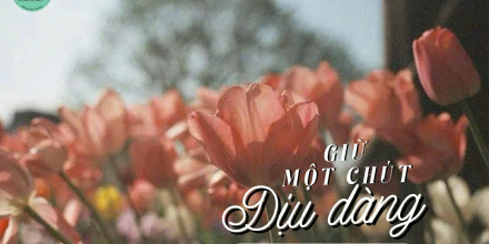 Thiết kế: Hồng Nhật - 📸: Sưu tầm