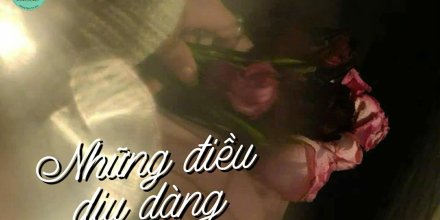 Thiết kế: Hồng Nhật - 📸: Sưu tầm