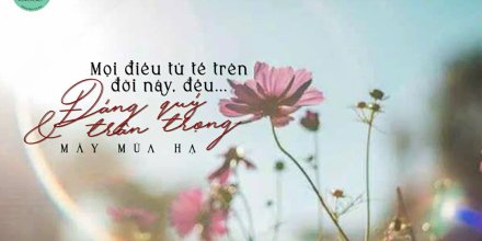 Thiết kế: Hồng Nhật - 📸: Sưu tầm