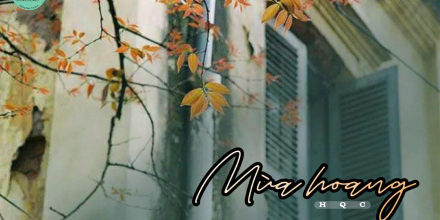 Thiết kế: Hồng Nhật - 📸: Sưu tầm